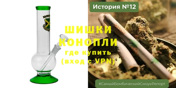 сатива Аша
