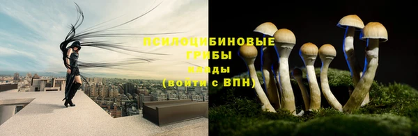 марки lsd Бабаево