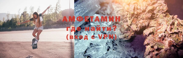 сатива Аша
