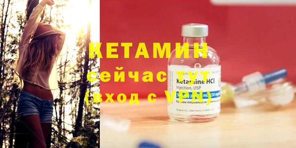 сатива Аша