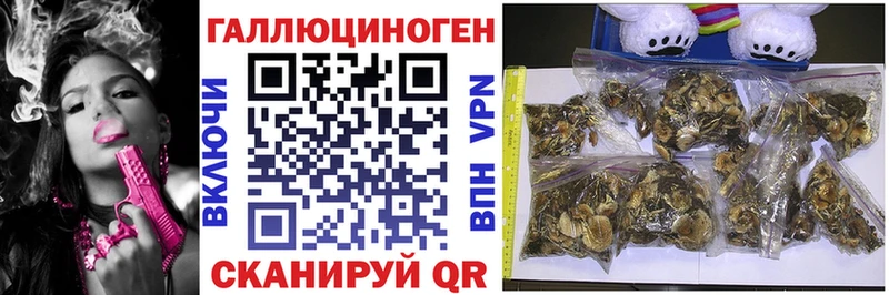 Галлюциногенные грибы Cubensis  цены наркотик  Боровск 